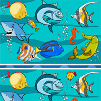 Fish Differences Lofgames