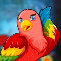Avm Colourful Bird Escape