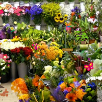 Hidden Objects-Flower Shop