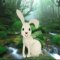 Save The Little Rabbit HTML5