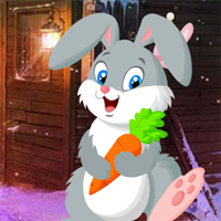 Games4King Cute Rabbit Rescue