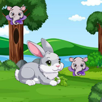 Free online flash games - Wow Feed The Hungry Rabbit