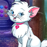 Play G4K Find Angry Cat Game-Play Free Hidden Objects Games-Hiddenogames