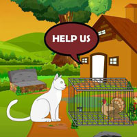 Free online flash games - Rescue The Troubled Turkey