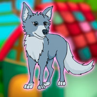 Free online flash games - G2J Canis Latrans Rescue from Cage