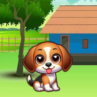 Free online flash games - BEG Help The Sinful Dog