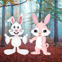 Free online flash games - G2R Discover Rabbit Companion