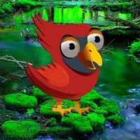 Red Angry Bird Escape HTML5