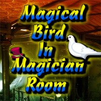 Wow Magical Bird In Magician Room