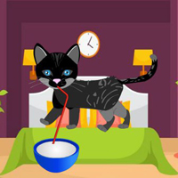 Free online flash games - Hungry Cat Escape