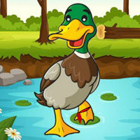 Free online flash games - Help The Charming Duck