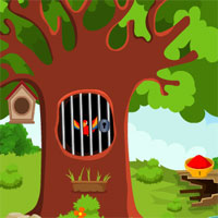 Play Games4King Macaw Bird Escape From Cage Game-Play Free Hidden ...